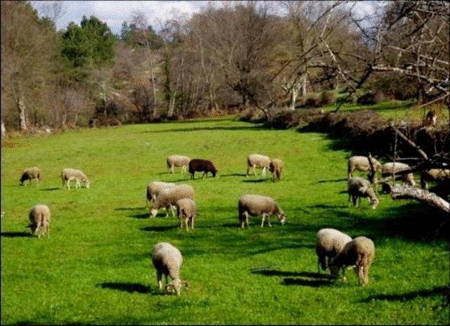 فندق Vila Franca da Serraفي  Quinta Do Lagar Da Moira المظهر الخارجي الصورة