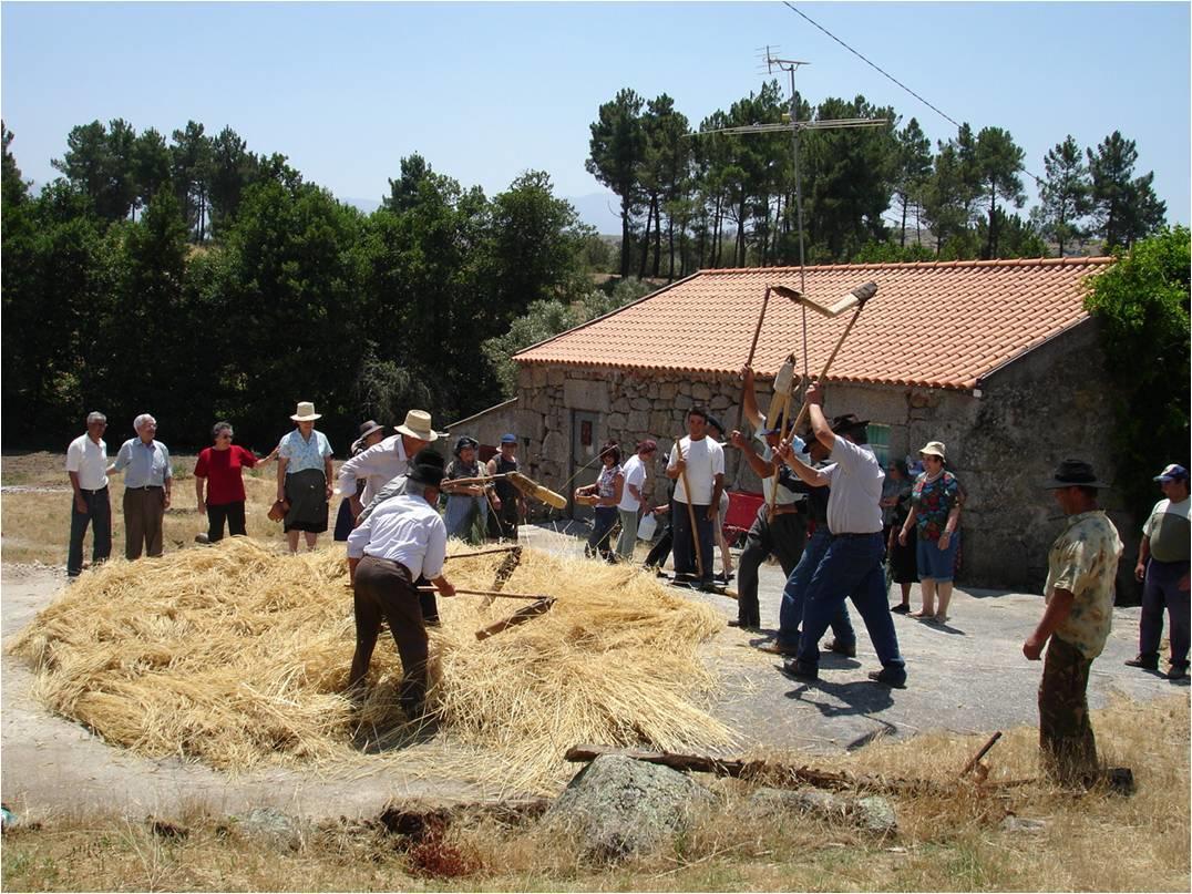 فندق Vila Franca da Serraفي  Quinta Do Lagar Da Moira المظهر الخارجي الصورة